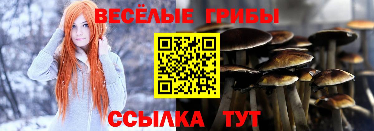 Галлюциногенные грибы прущие грибы Улан-Удэ