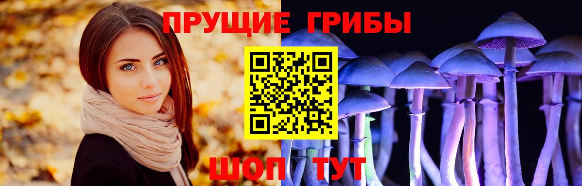 Псилоцибиновые грибы прущие грибы  Вход с VPN  наркотики  Улан-Удэ 